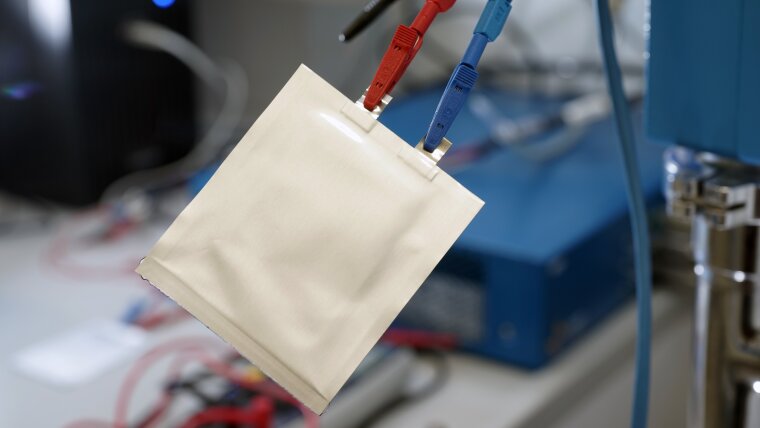 Testing a pouch cell