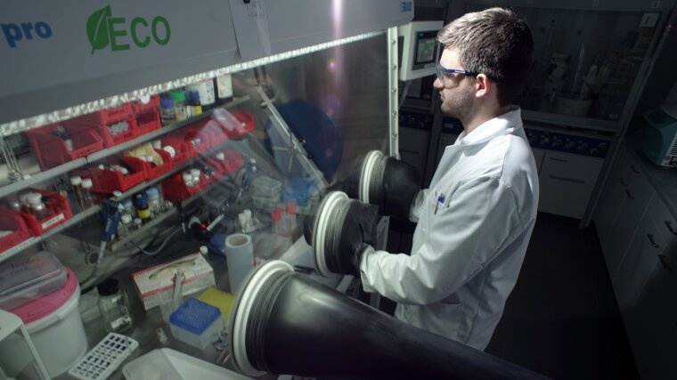 A researcher working at a glovebox.