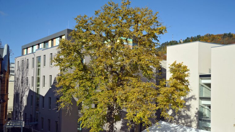 The building of the CEEC Jena from the direction of Philosophenweg.